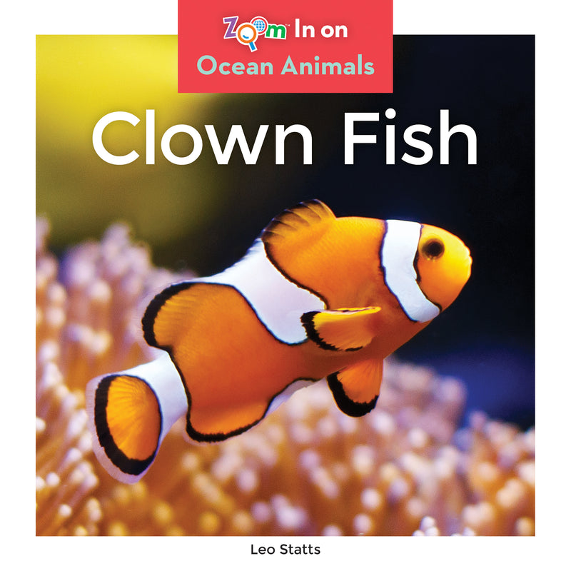 Clown Fish