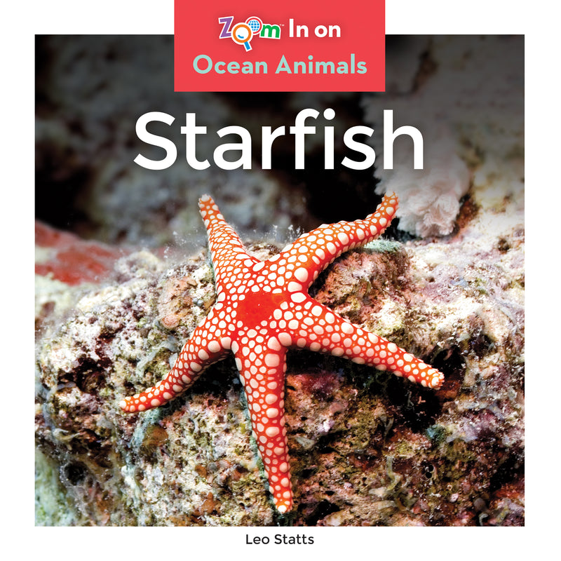 Starfish