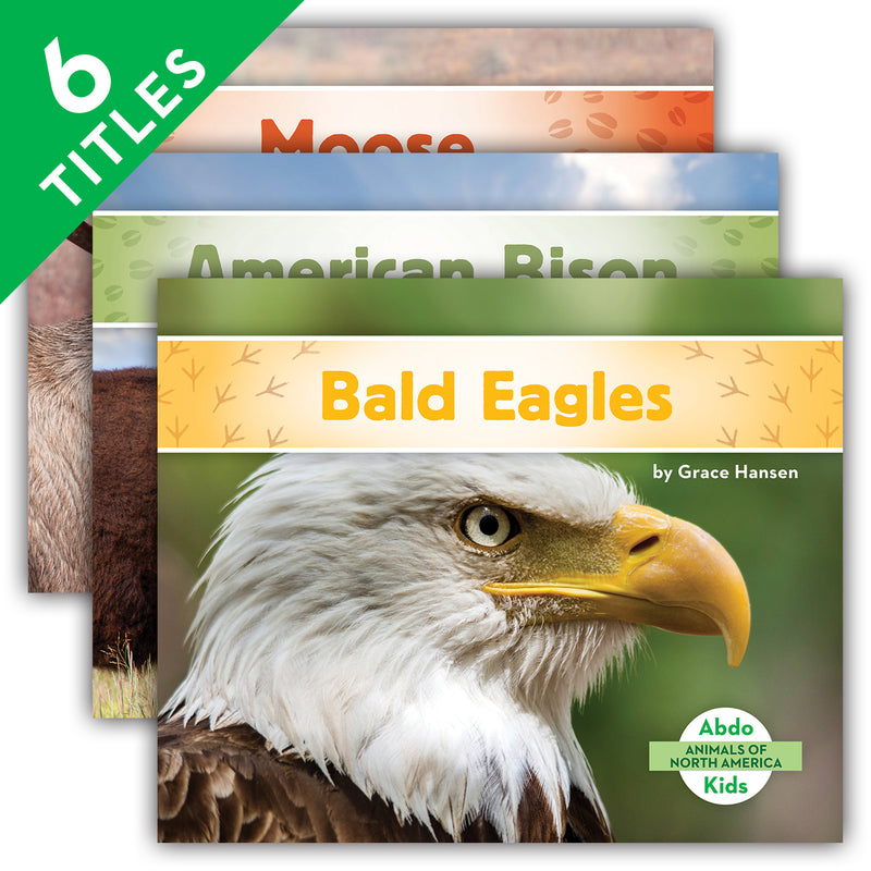 Animals of North America (Set)