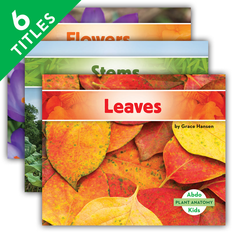 Plant Anatomy (Set)