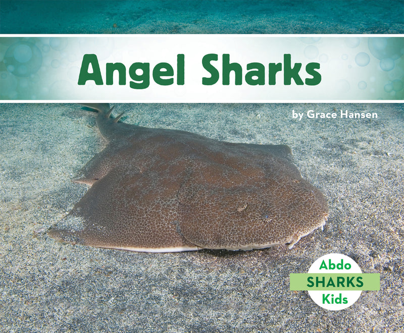 Angel Sharks