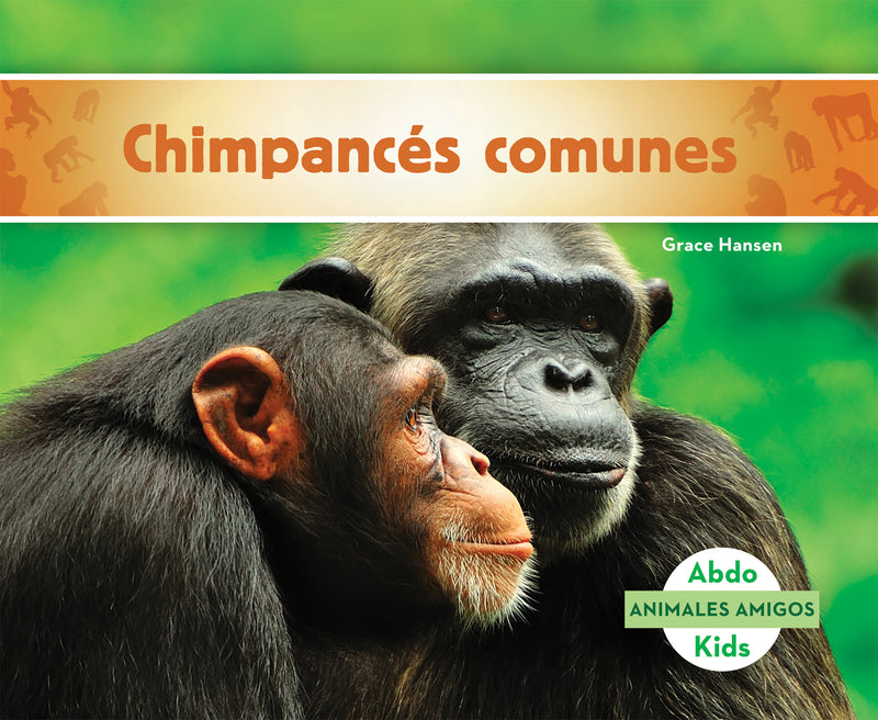Chimpances comunes (Chimpanzees)