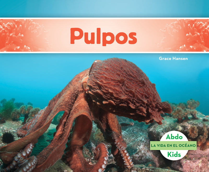Pulpos (Jellyfish)
