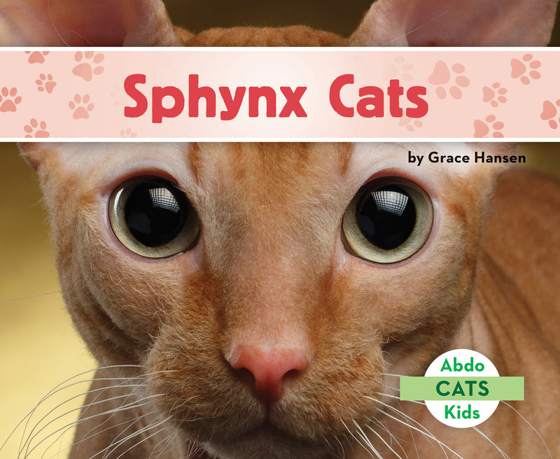 Sphynx Cats