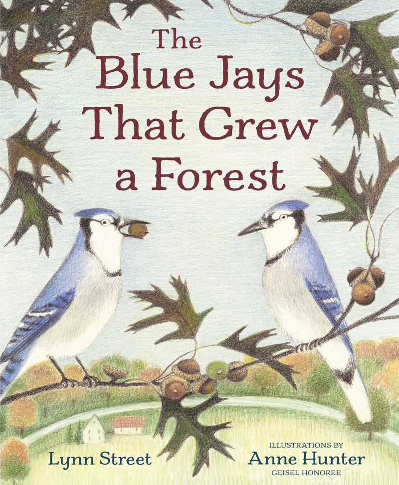 The Blue Jays That Grew a Forest