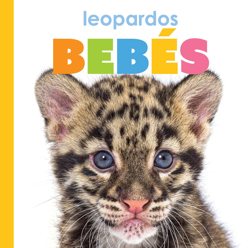 Leopardos bebes