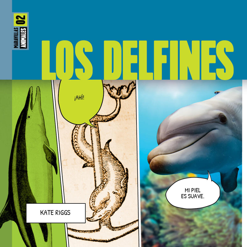 Los delfines