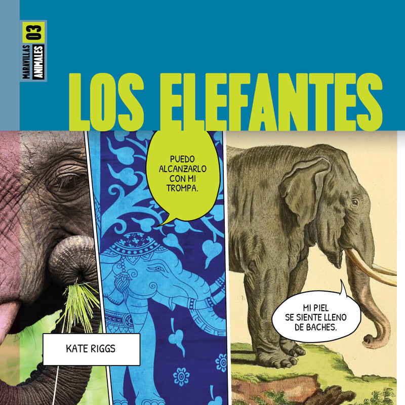 Los elefantes