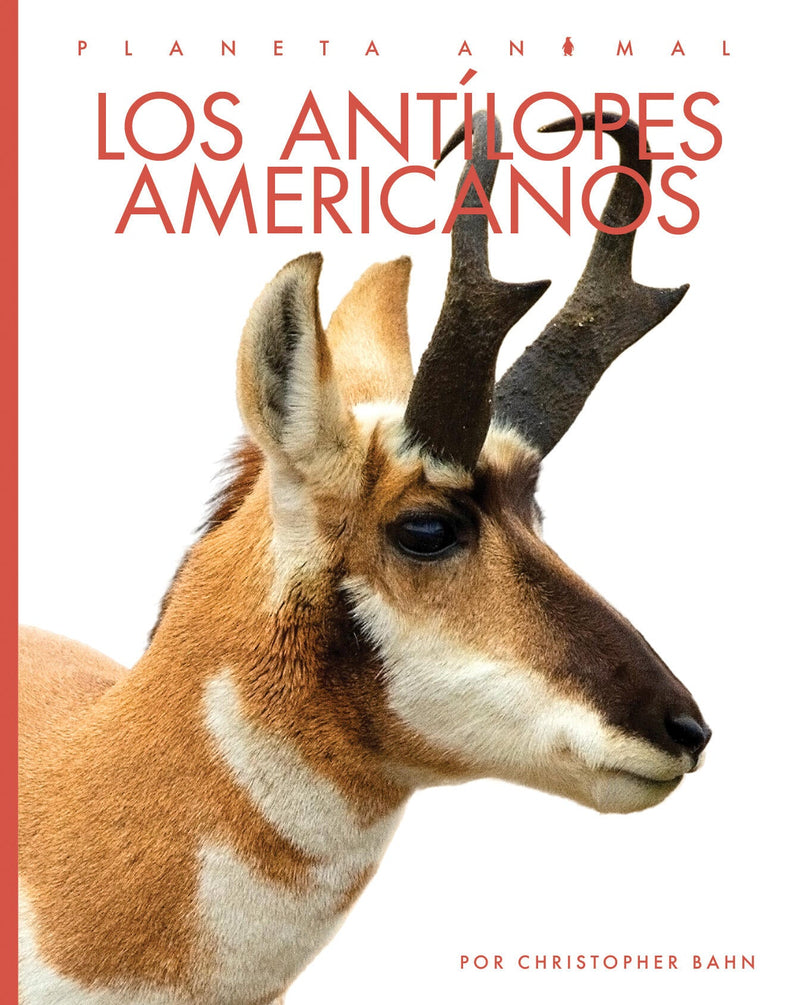 Los antilopes americanos