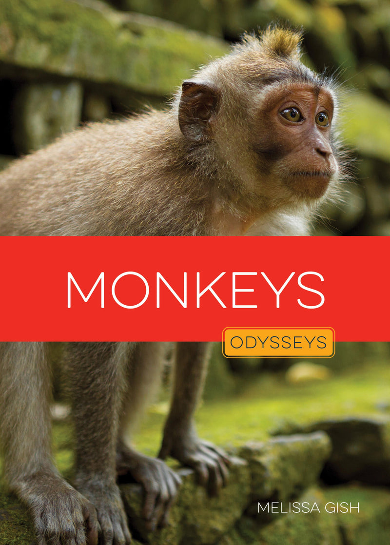 Monkeys