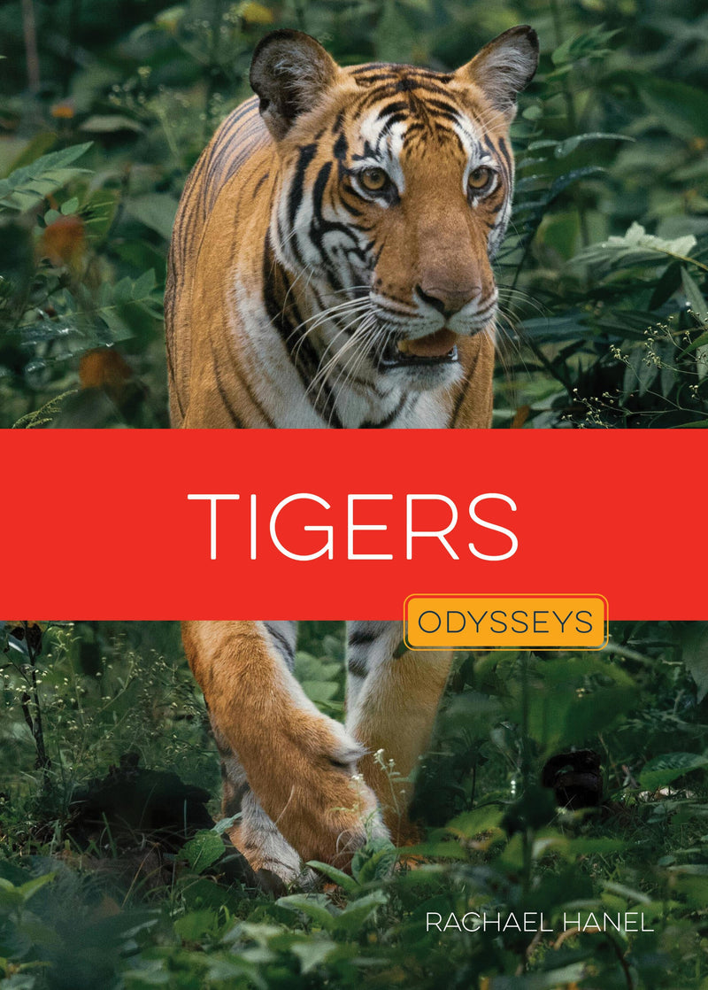 Tigers