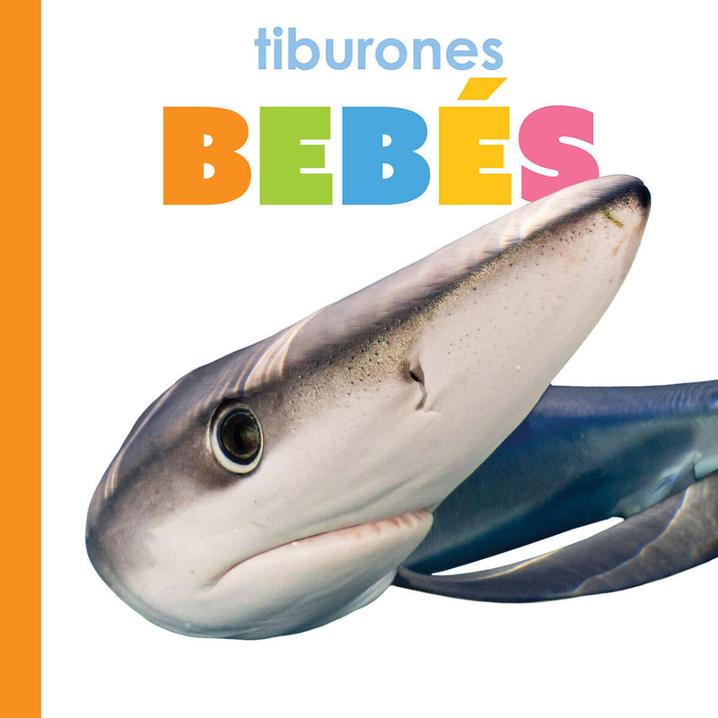 Tiburones bebés