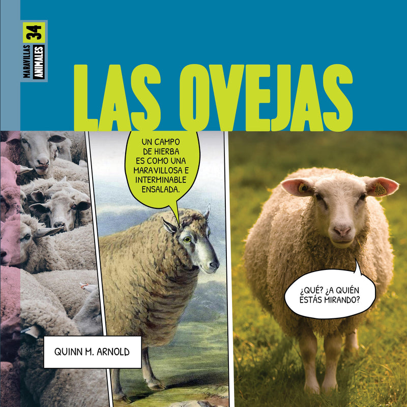 Las ovejas