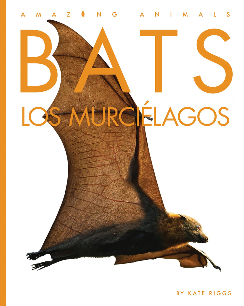 Bats / Los murciélagos