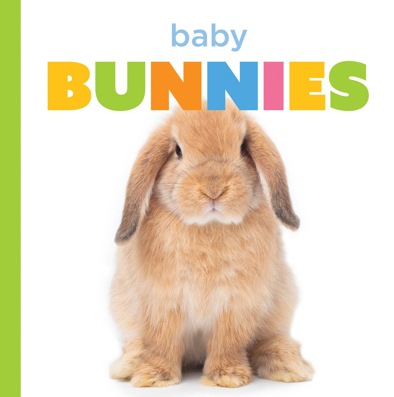 Baby Bunnies