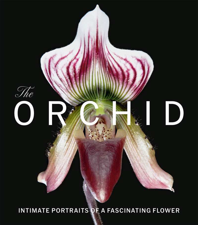 The Orchid:Intimate Portraits of a Fascinating Flower