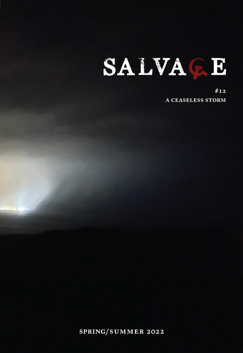 Salvage #12