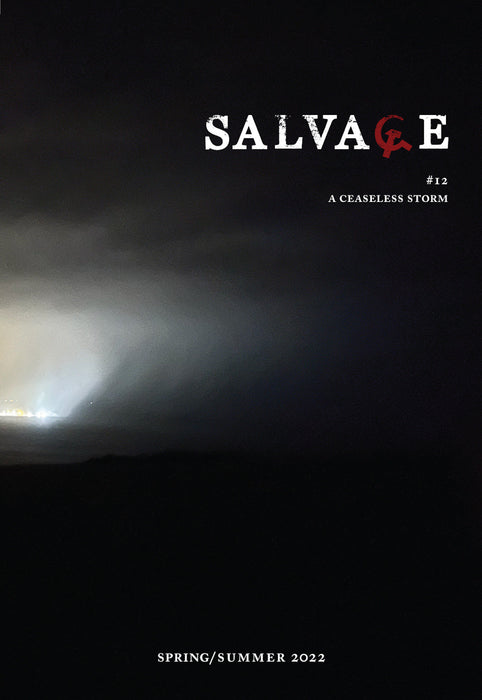 Salvage #12