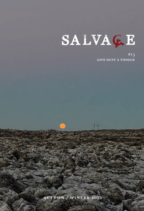 Salvage #13