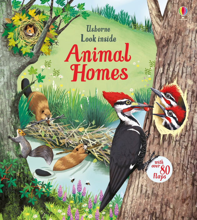 Look Inside Animal Homes