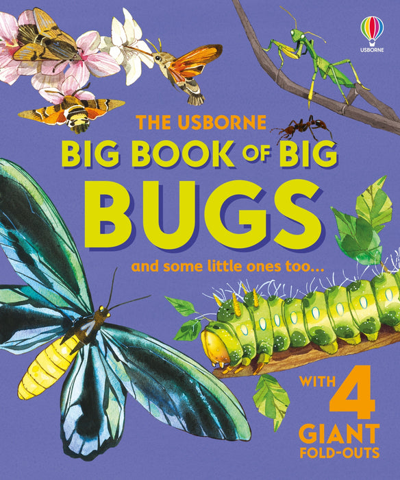 Big Book of Big Bugs