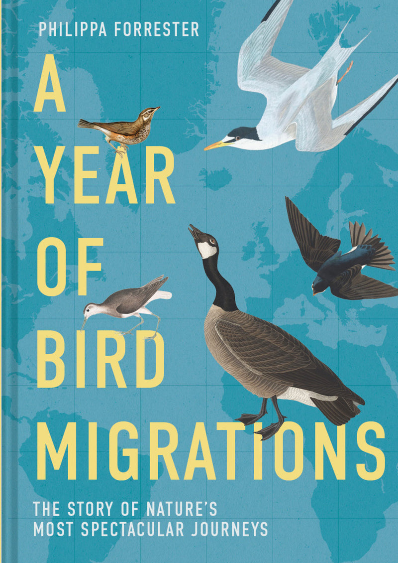 A Year of Bird Migrations:The Story of Nature's Most Spectacular Journeys