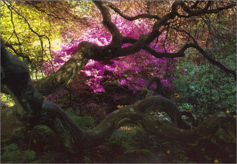 A Gardener's Labyrinth