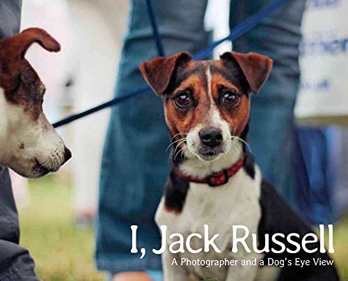 I Jack Russell