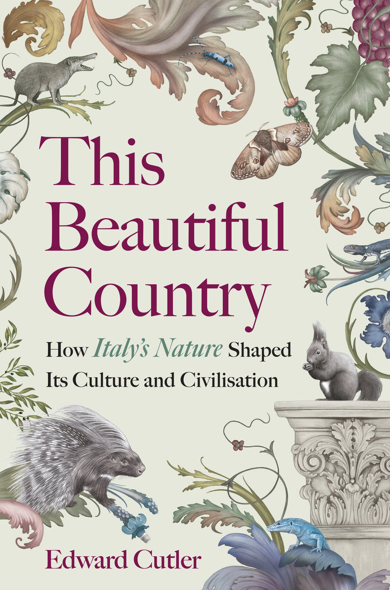 This Beautiful Country:How Italy's Nature Shaped Its Culture and Civilisation