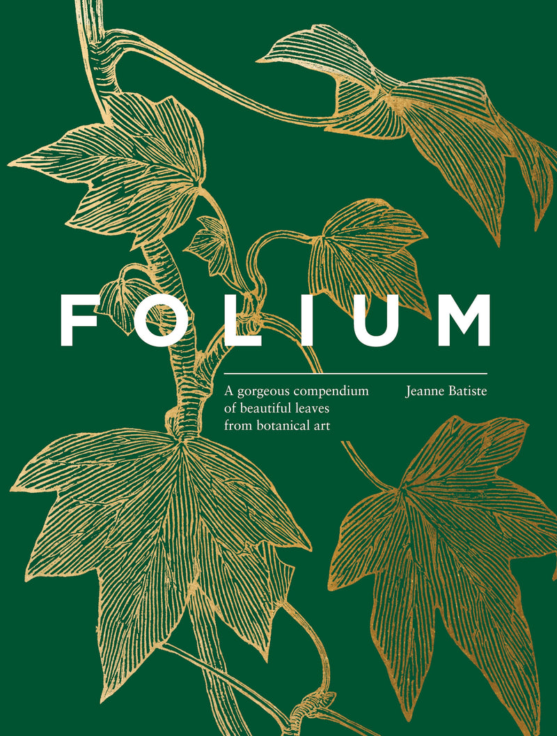 Folium:A gorgeous compendium of beautiful leaves