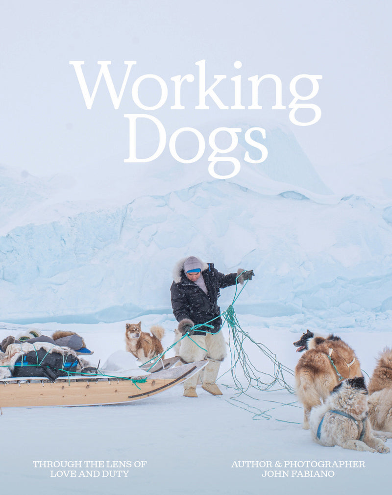 Working Dogs:Through the lens of love and duty