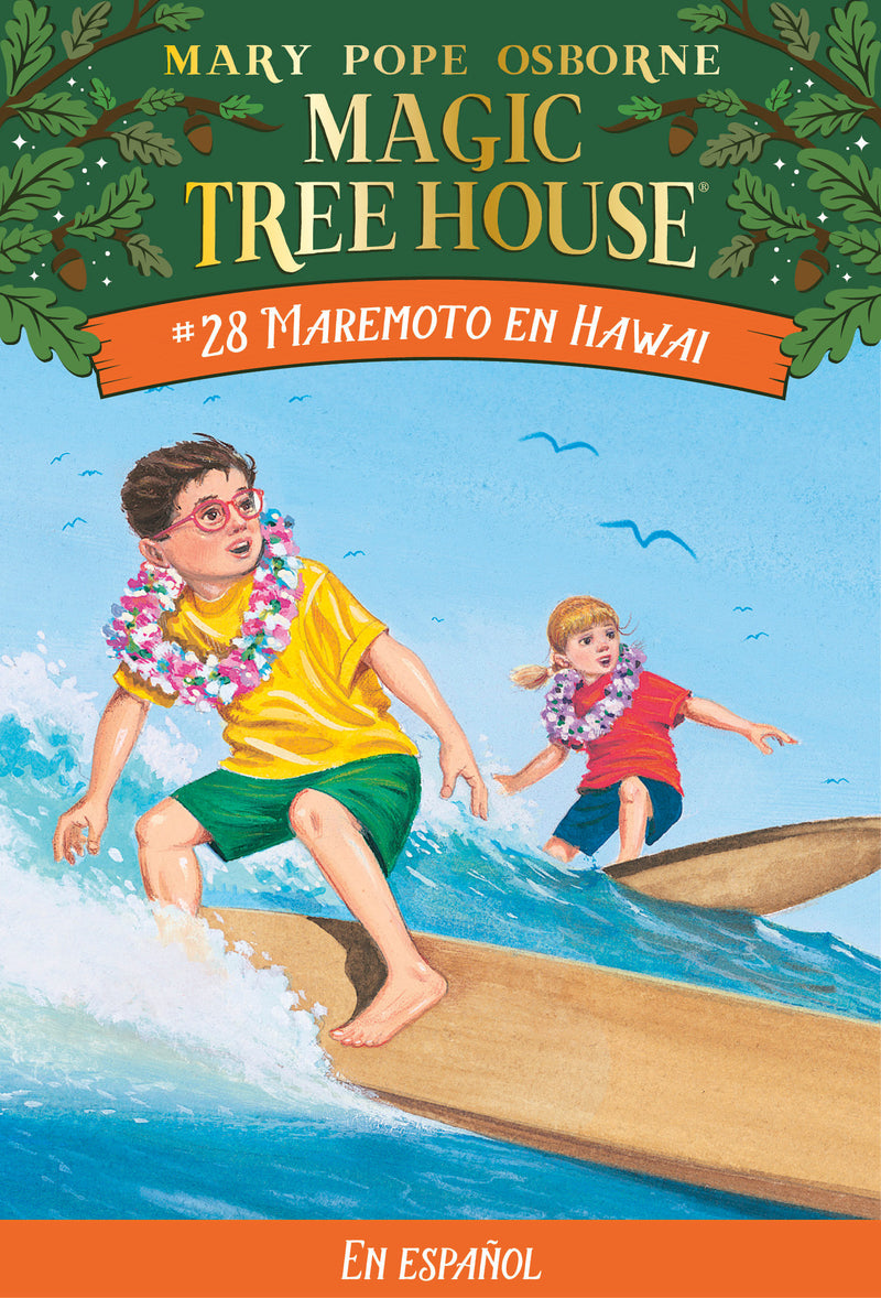Maremoto en Hawai / High Tide in Hawaii