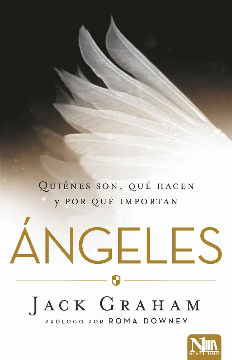 Angeles: Quiénes son, qué hacen y por qué importa / Angels