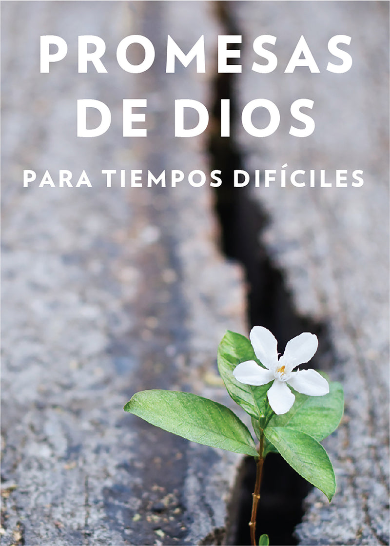Promesas de Dios para tiempos difÃ­ciles / God s Promises when you are hurting