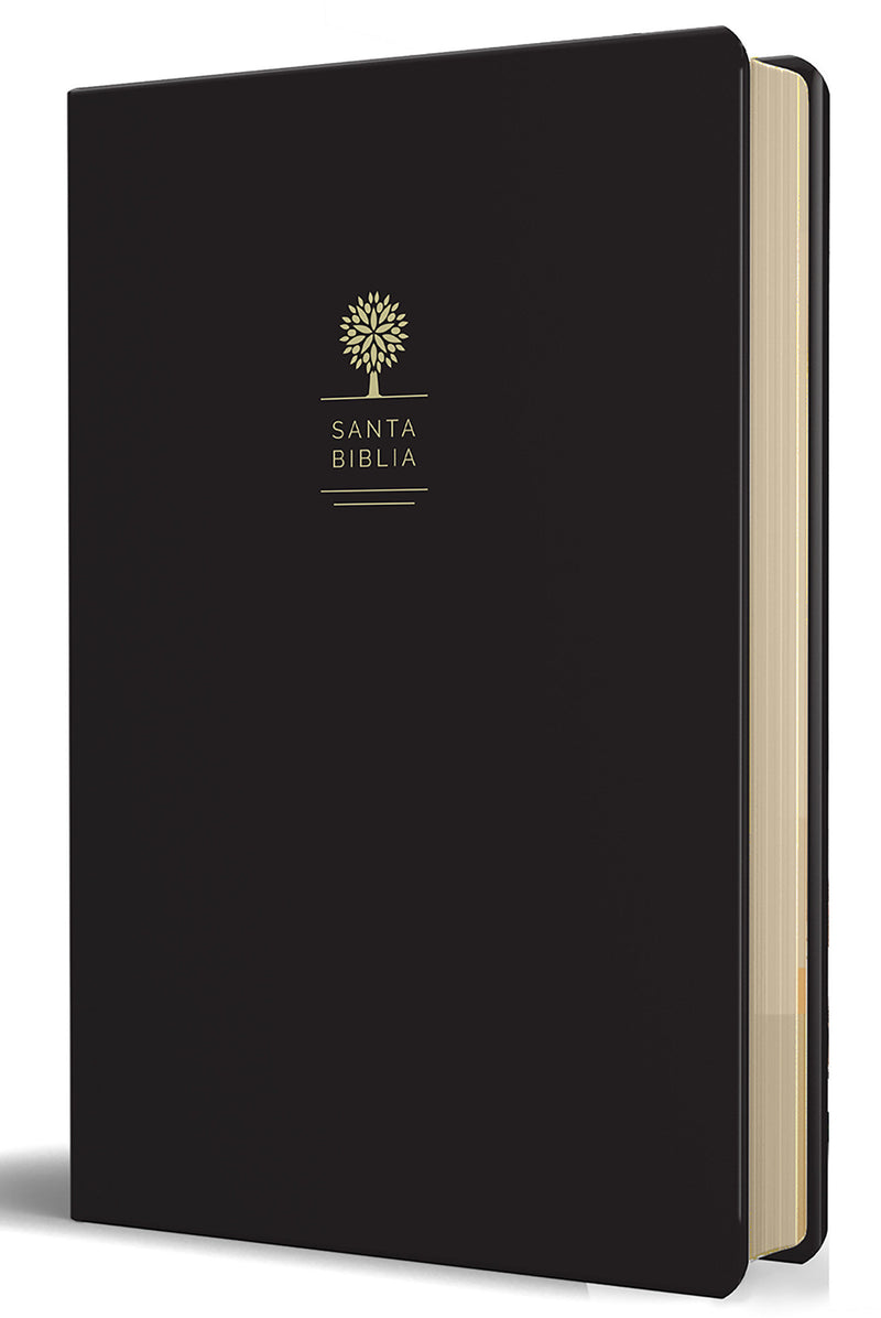 RVR60 Biblia tamaño grande, letra grande, piel negra / Reina Valera 1960 Bible Large size, large print, black leather