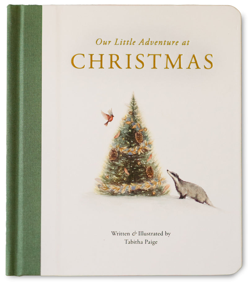 Our Little Adventure at Christmas