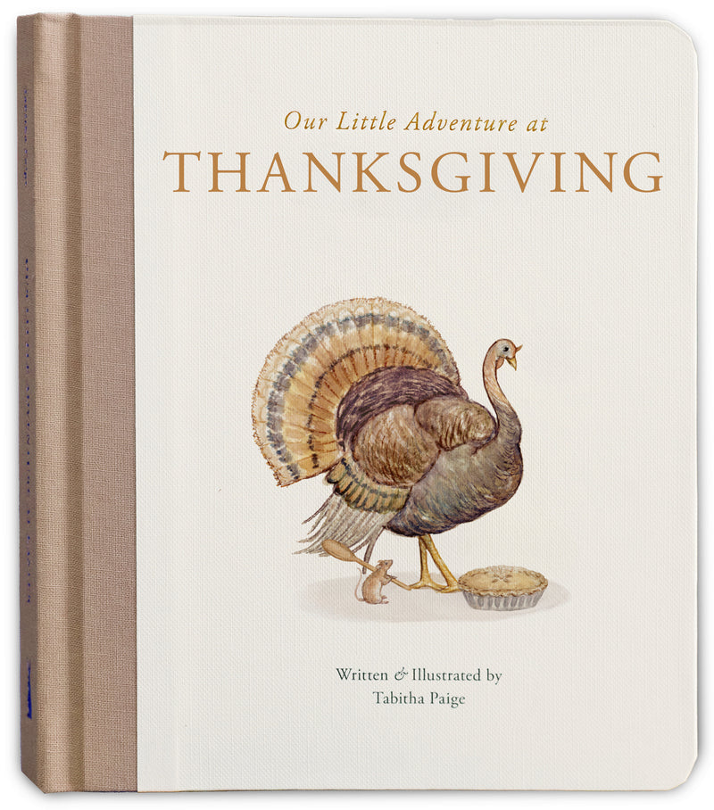 Our Little Adventure at Thanksgiving:Featuring Foundational Language Concepts and Lessons on Gratitude