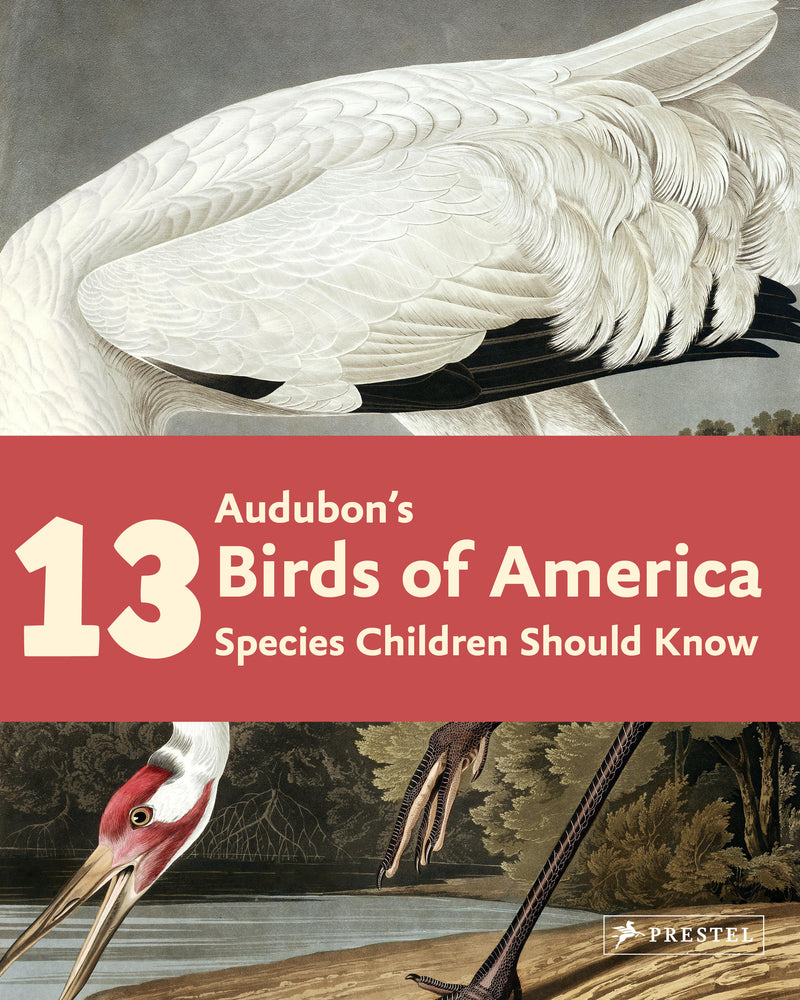 Audubon's Birds of America: 13 Species Children Should Know