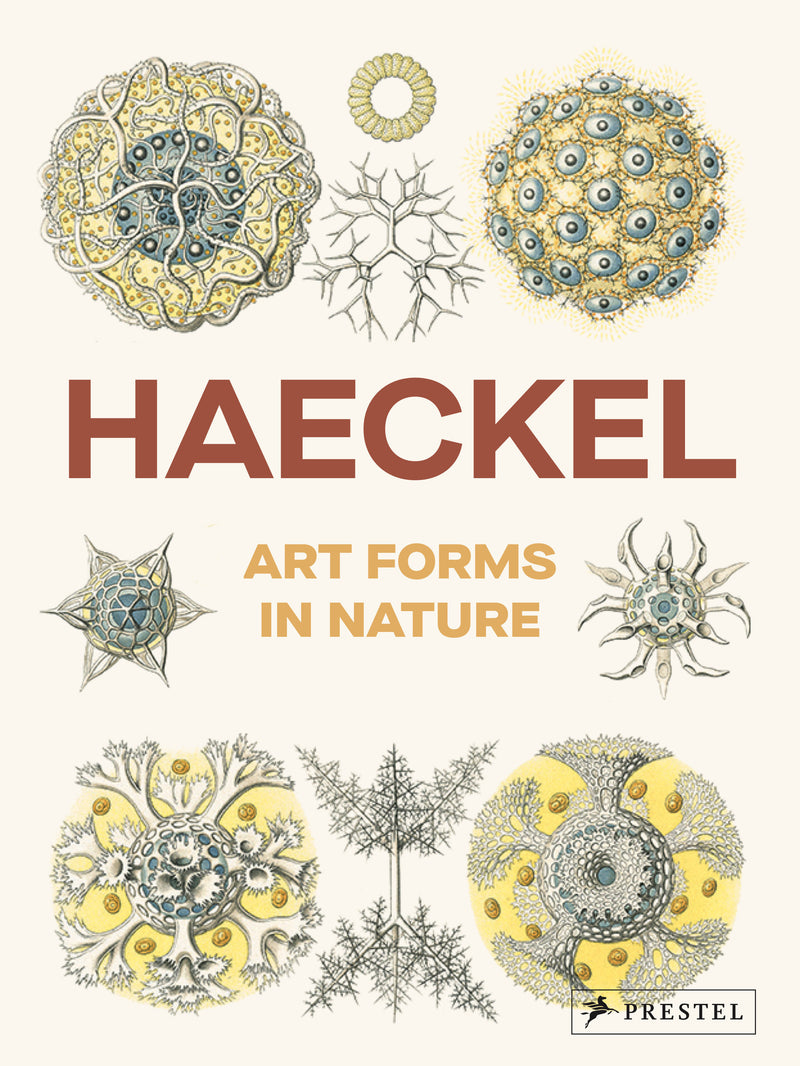 Art Forms in Nature: The Prints of Ernst Haeckel