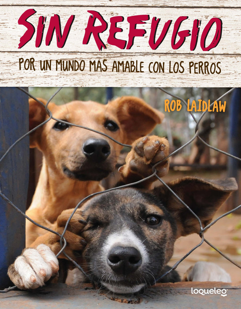 Sin refugio: Por un mundo más amable con los perros