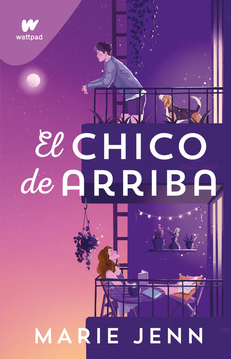 El chico de arriba / The Boy Upstairs