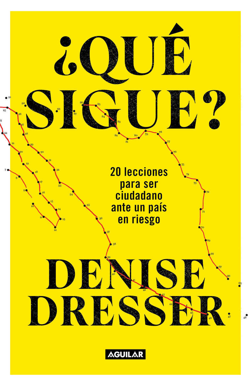 ¿Qué sigue?: 20 lecciones para ser ciudadano ante un país en riesgo / What's Next ? Twenty Lessons for Citizens in a Country at Risk