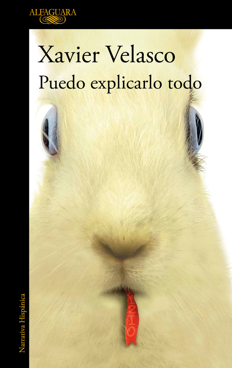 Puedo explicarlo todo / I Can Explain Everything