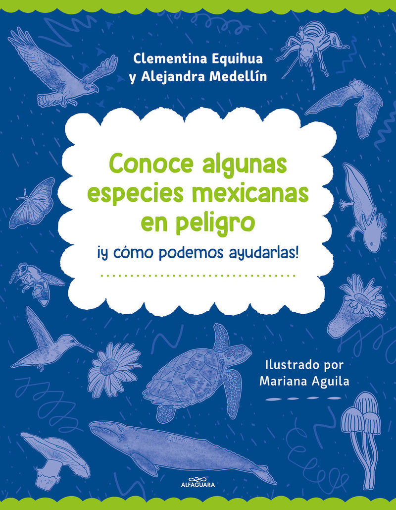Conoce algunas especies mexicanas en peligro y ¡lo que puedes hacer para protegerlas! - biodiversidad mexicana / Discover Some Endangered Mexican