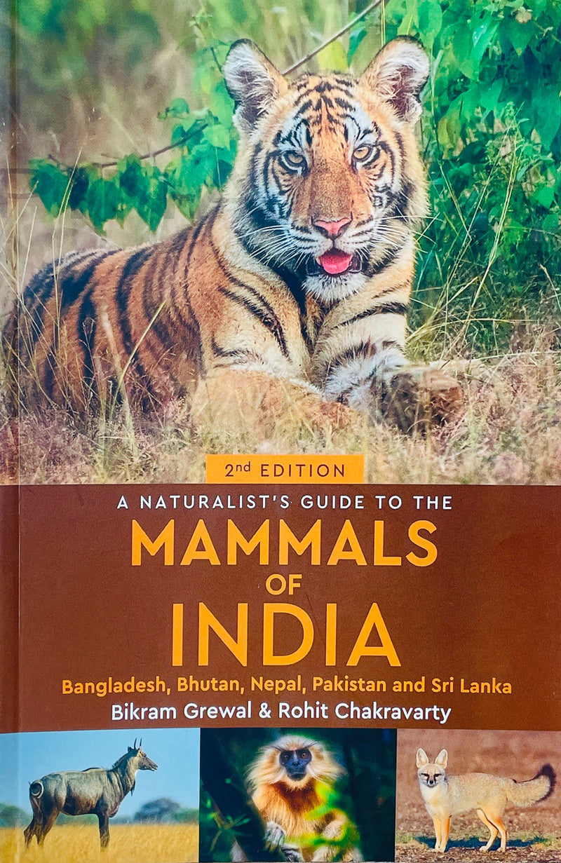 NaturalistS Guide To The Mammals Of India , A