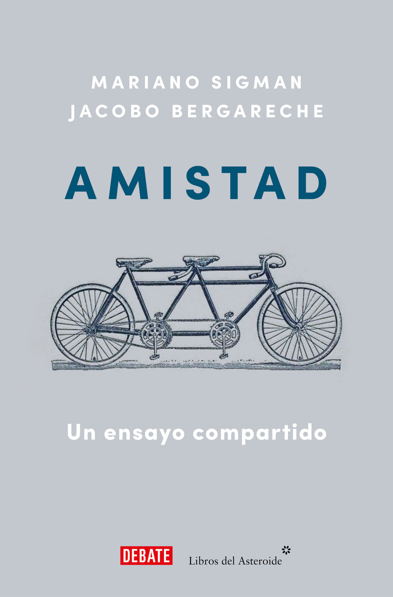 Amistad: Un ensayo compartido   / Friendship: A Shared Essay