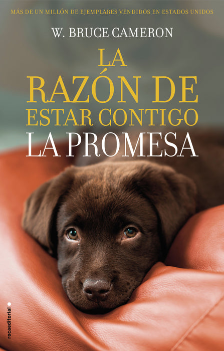 LA RAZÃ“N DE ESTAR CONTIGO / A DOG'S PURPOSE