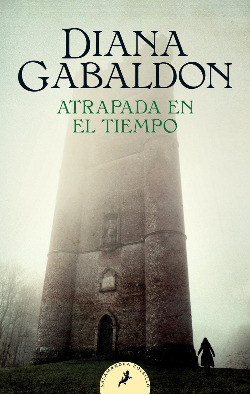 Atrapada en el tiempo / Dragonfly in Amber