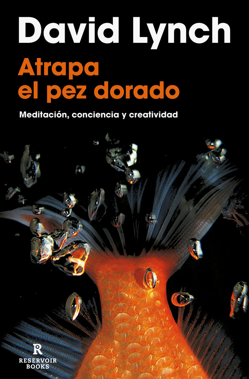 Atrapa el pez dorado / Catching The Big Fish