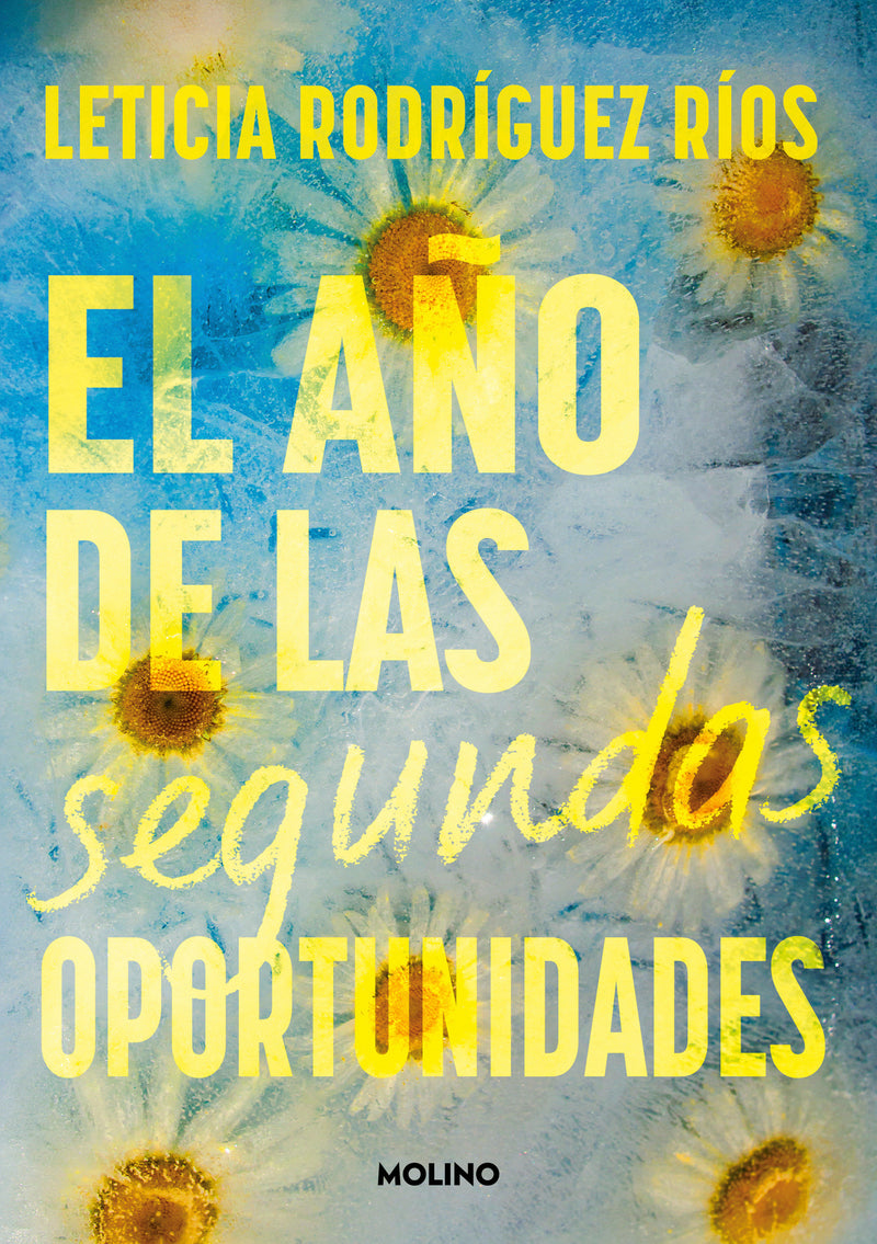 El año de las segundas oportunidades / The Year of Second Chances